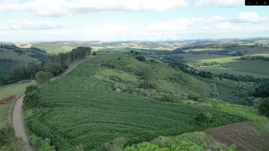 Fazenda/Sítio à venda, 363000m² no Jandaia do Sul, Jandaia do Sul