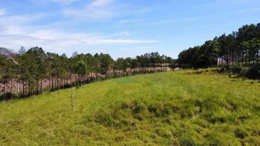 Fazenda/Sítio à venda, 22000m² no Jardim União da Vitória II, Londrina