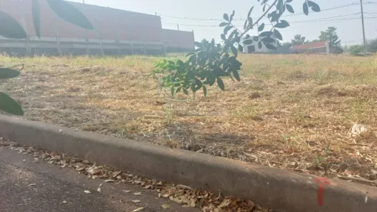Lote/Terreno para alugar, 245m² no Jardim das Araucárias, Sertãozinho