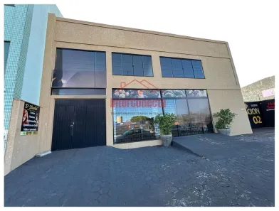 Apartamento com 3 Quartos para alugar, 80m² no São Cristóvão, Cascavel