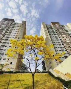 Apartamento com 2 Quartos para alugar, 55m² no Votupoca, Barueri