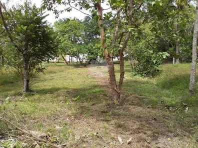 Fazenda/Sítio com 2 Quartos à venda, 200m² no Jardim Estância Brasil, Atibaia