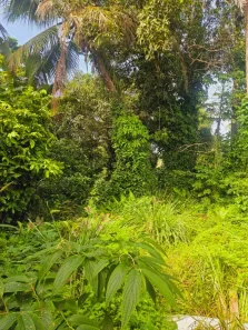 Lote/Terreno à venda, 2600m² no Trancoso, Porto Seguro