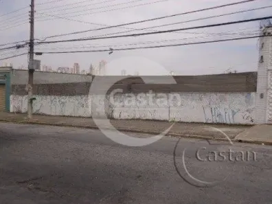 Lote/Terreno com 1 Quarto para alugar, 537m² no Cidade Mãe do Céu, São Paulo