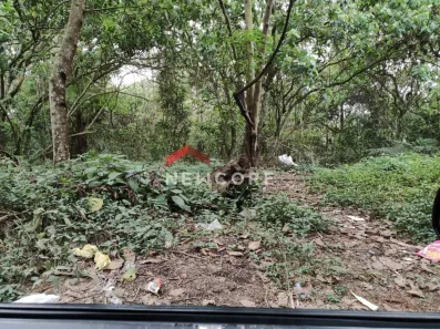 Lote/Terreno à venda, 14000m² no Alvarenga, São Bernardo do Campo