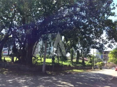 Lote/Terreno para alugar, 1608m² no Anita Garibaldi, Joinville
