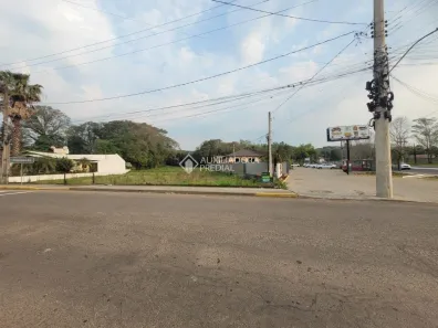 Imóvel Comercial à venda, 2500m² no Travessão, Dois Irmãos
