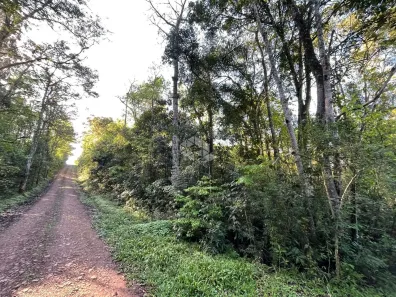Fazenda/Sítio à venda, 3720m² no Linha Santa Cruz, Santa Cruz do Sul