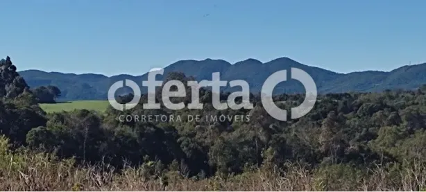 Fazenda/Sítio com 1 Quarto à venda, 35m² no Campestre da Faxina, São José dos Pinhais
