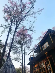 Fazenda/Sítio com 1 Quarto à venda, 2100m² no , Chapada dos Guimarães