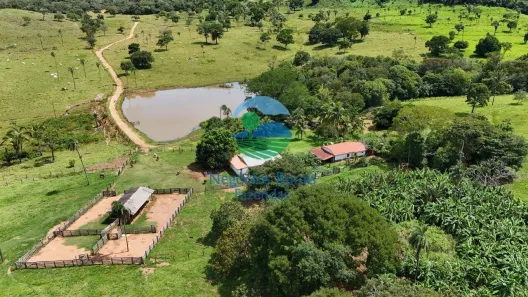 Fazenda/Sítio com 5 Quartos à venda, 2020m² no Área Rural de Campinorte, Campinorte