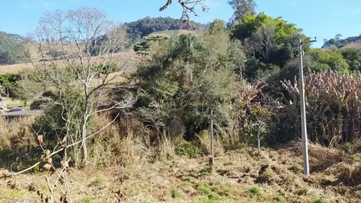 Lote/Terreno à venda, 1090m² no , Santo Antônio do Pinhal