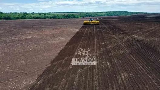 Fazenda/Sítio à venda, 16780000m² no , Ribeirão Cascalheira