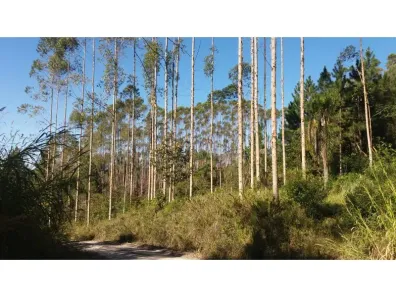 Lote/Terreno à venda, 788951m² no , Doutor Pedrinho