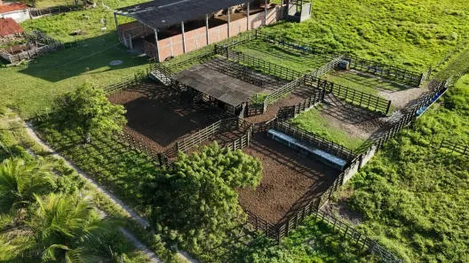 Fazenda/Sítio com 6 Quartos à venda, 2500000m² no , Brejinho