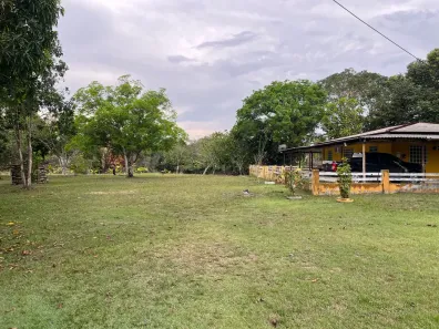 Fazenda/Sítio com 4 Quartos à venda, 84m² no , Rio Preto da Eva