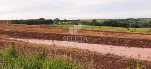 Fazenda/Sítio com 2 Quartos à venda, 363m² no , Santa Tereza do Oeste