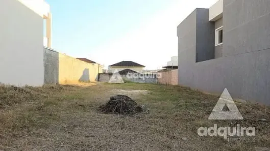 Lote/Terreno à venda, 438m² no Colônia Dona Luíza, Ponta Grossa