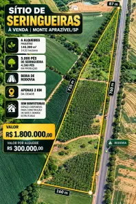 Fazenda/Sítio à venda, 145200m² no Centro, Monte Aprazível