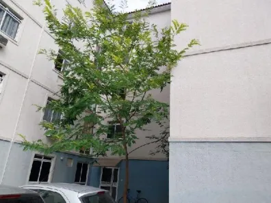 Apartamento com 2 Quartos à venda, 42m² no Rocha Sobrinho, Mesquita