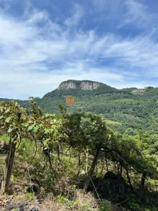 Fazenda/Sítio com 1 Quarto à venda, 20000m² no São Pedro da Terceira Légua, Caxias do Sul