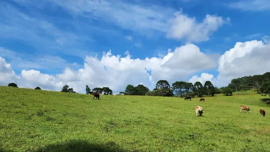 Fazenda/Sítio à venda, 330m² no , Bocaina do Sul
