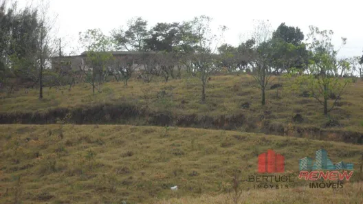 Lote/Terreno com 1 Quarto à venda, 94740m² no Barreiro, Louveira
