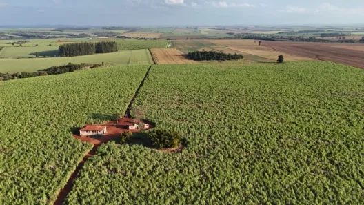 Fazenda/Sítio com 2 Quartos à venda, 594110m² no , Quadra