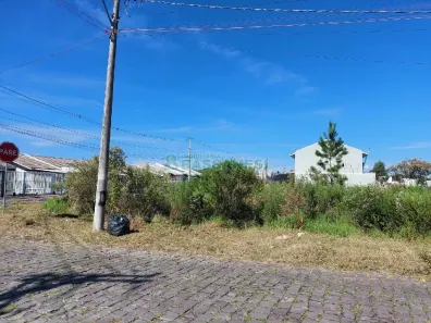 Lote/Terreno para alugar, 1500m² no Nossa Senhora das Graças, Caxias do Sul