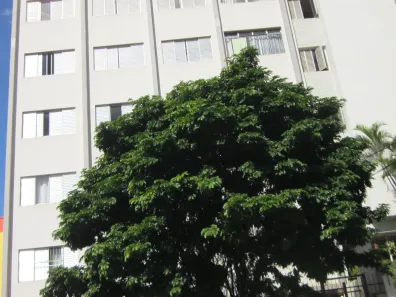 Apartamento com 2 Quartos à venda, 67m² no Perdizes, São Paulo