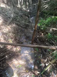 Lote/Terreno à venda, 30000m² no , Campo Alegre