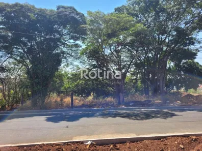 Lote/Terreno à venda, 5000m² no Chácaras Tubalina e Quartel, Uberlândia