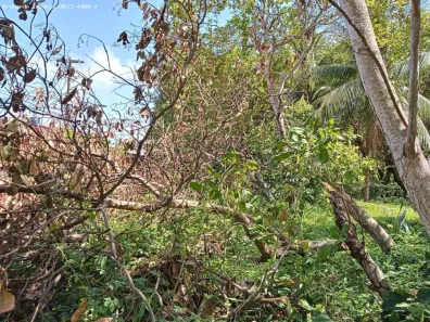 Lote/Terreno à venda, 10284m² no Ponta Negra, Natal