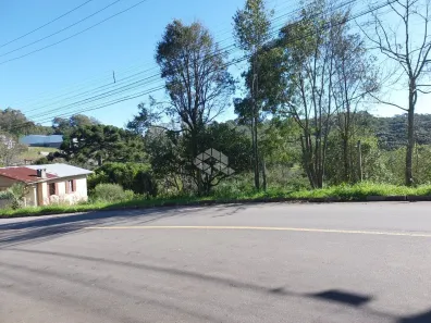 Lote/Terreno à venda, 8181m² no Vale dos Pinheiros, Garibaldi