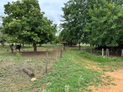 Fazenda/Sítio à venda, 5420800m² no Centro, Frei Inocêncio