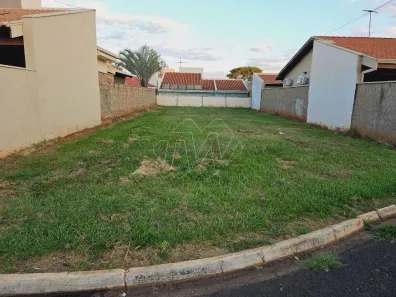 Lote/Terreno à venda, 288m² no Jardim dos Flamboyants, Araraquara