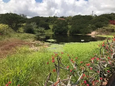 Lote/Terreno à venda, 1400m² no Alpes Suiços, Gravatá