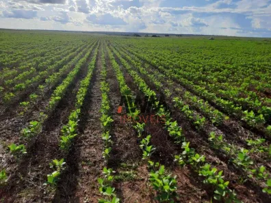 Fazenda/Sítio à venda, 150000000m² no São José do Xingu, São José do Xingu