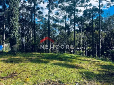Lote/Terreno à venda, 2320m² no Centro, São Francisco de Paula