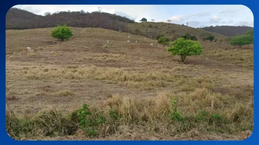 Galpão/Depósito/Armazém com 1 Quarto à venda, 40m² no , Alagoa Grande