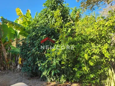 Fazenda/Sítio com 2 Quartos à venda, 90m² no Campo Grande, Pilar do Sul