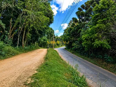 Lote/Terreno à venda, 1000m² no , São José dos Pinhais