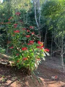 Lote/Terreno à venda, 5400m² no Araras, Petrópolis