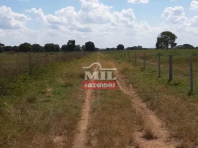 Fazenda/Sítio à venda, 500m² no , Novo Planalto
