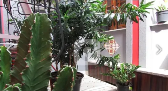 Casa com 6 Quartos à venda, 109m² no Catete, Rio de Janeiro