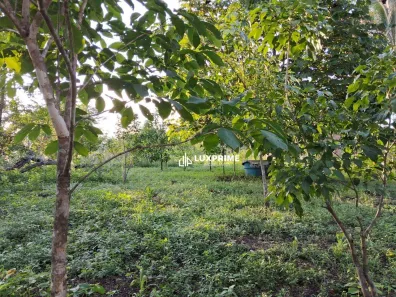Fazenda/Sítio à venda, 6503m² no Taquarussu, Palmas