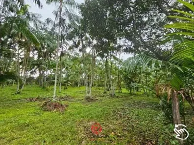 Fazenda/Sítio à venda, 250000m² no Jaderlândia, Castanhal