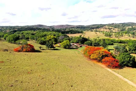 Fazenda/Sítio com 5 Quartos à venda, 25m² no , Anhangüera