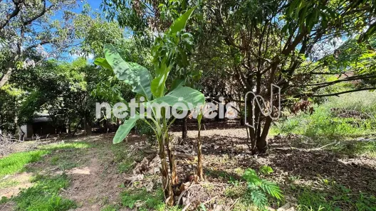 Lote/Terreno à venda, 3100m² no Garças, Belo Horizonte