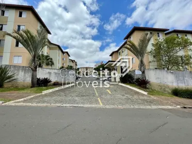 Apartamento com 3 Quartos à venda, 53m² no Estrela, Ponta Grossa